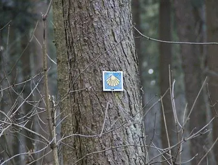 Schweizer Hof Hotell 3*