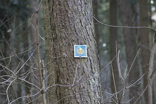 Schweizer Hof 酒店 3*